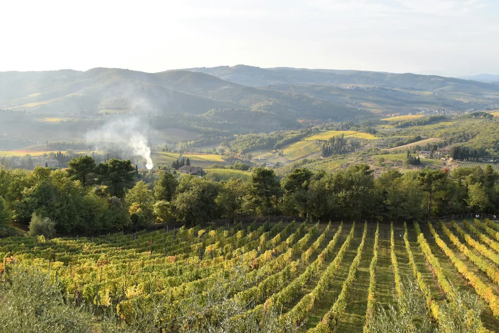 Ville in affitto: Chianti, Toscana