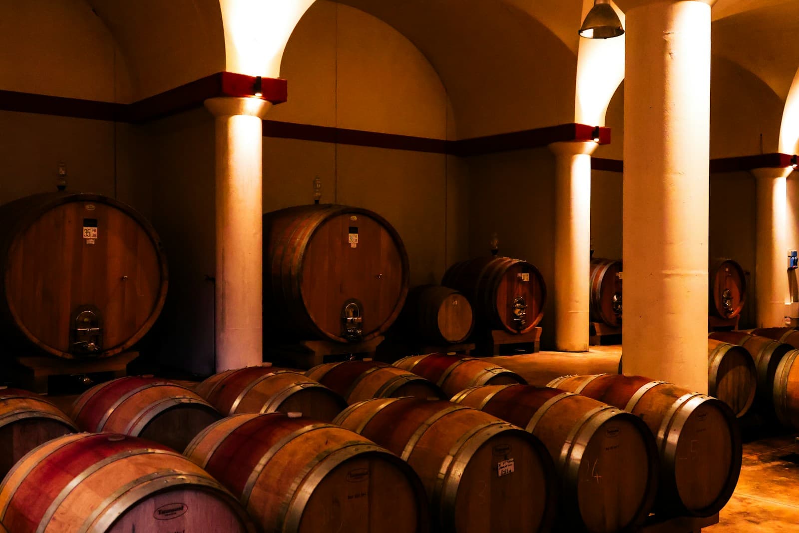 Degustazione in cantina